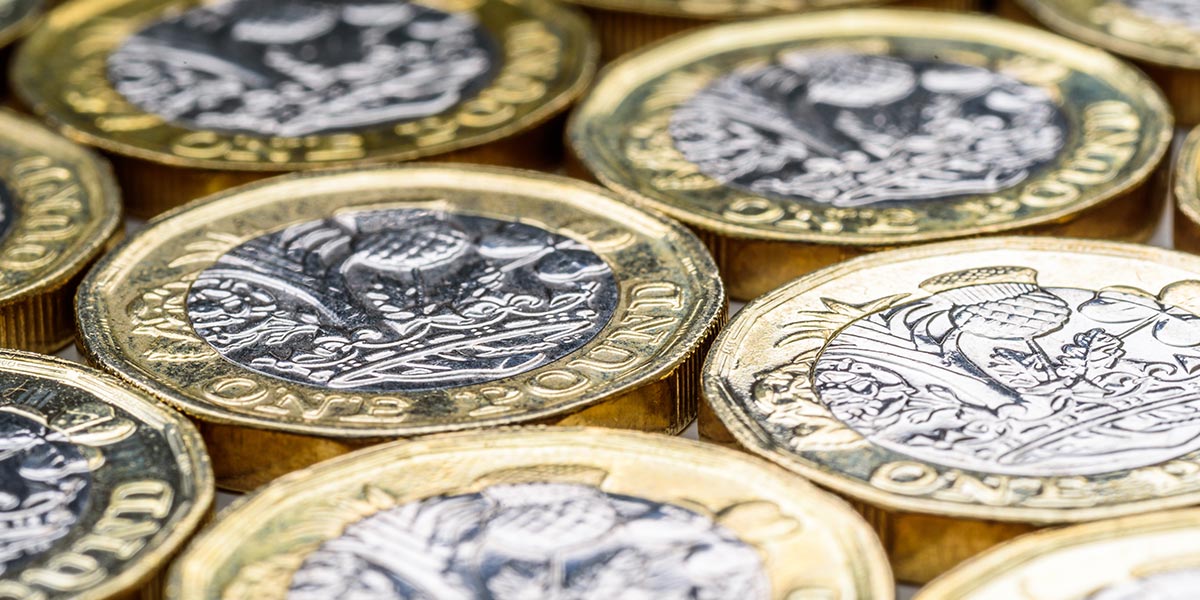 Pound coin