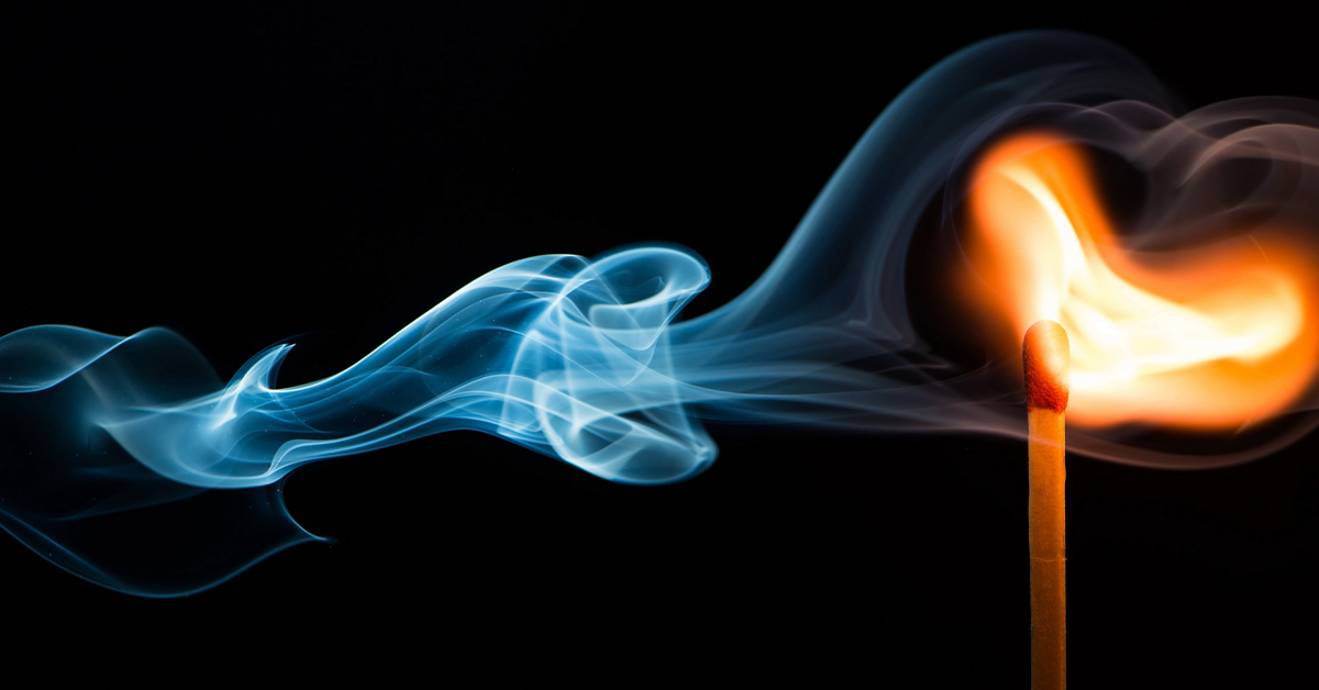 The Year of the Election 