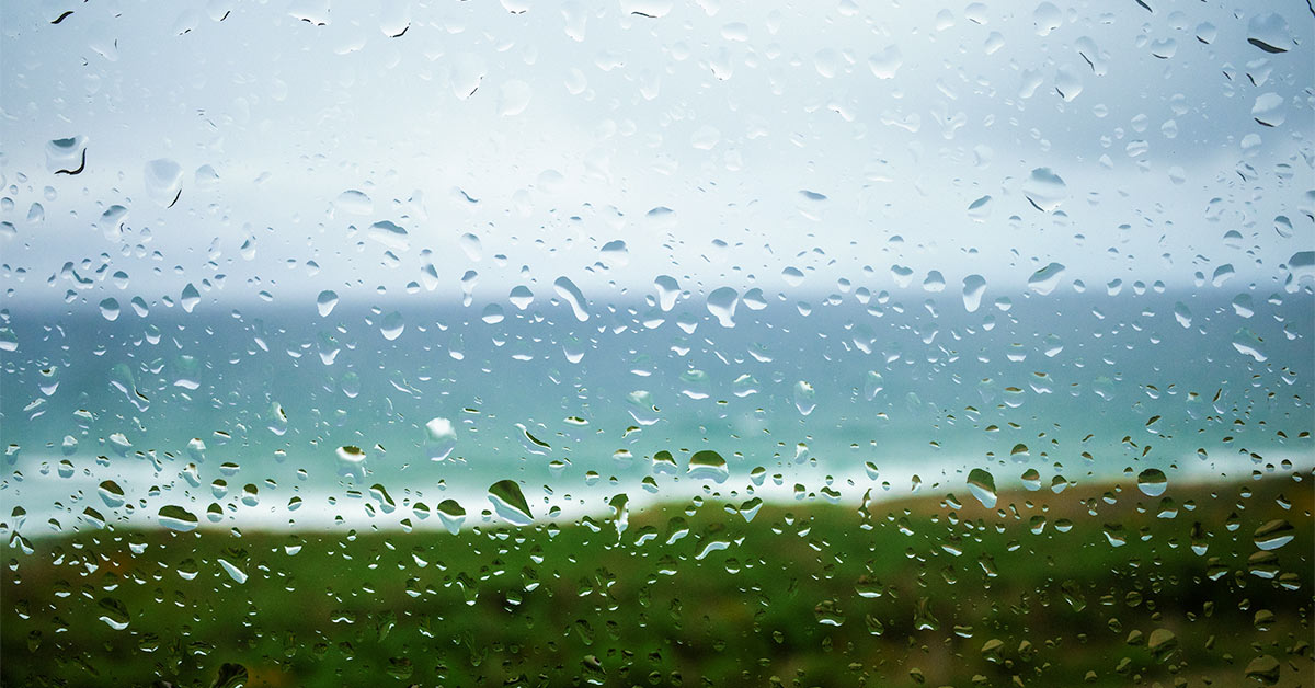 The prophetic fallacy  