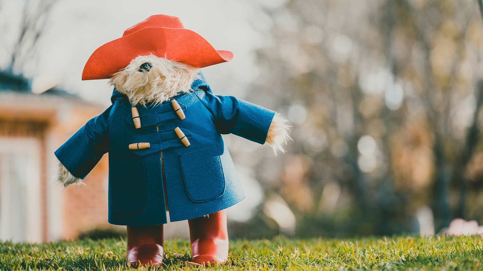Paddington bear
