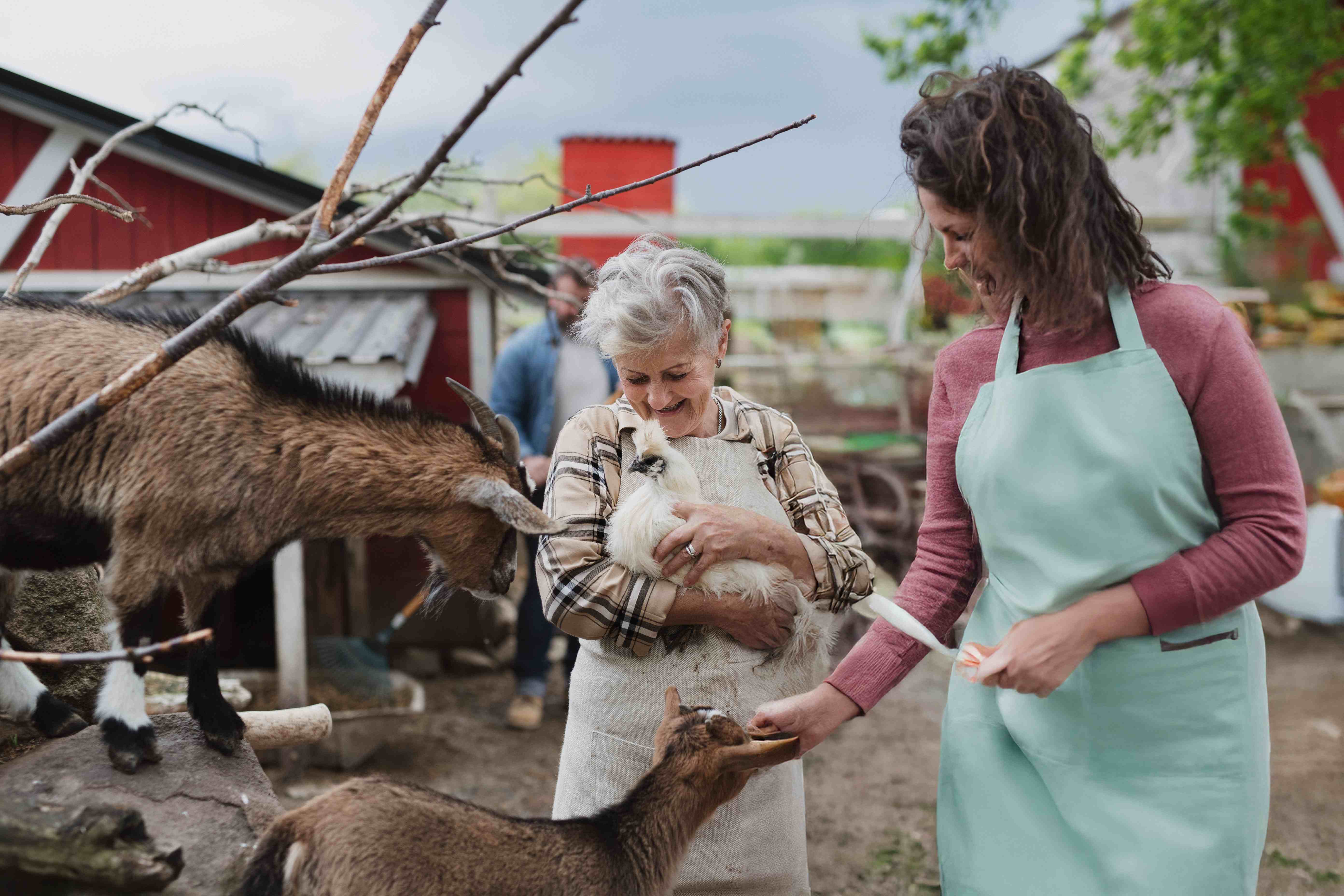 Volunteers at a family farm