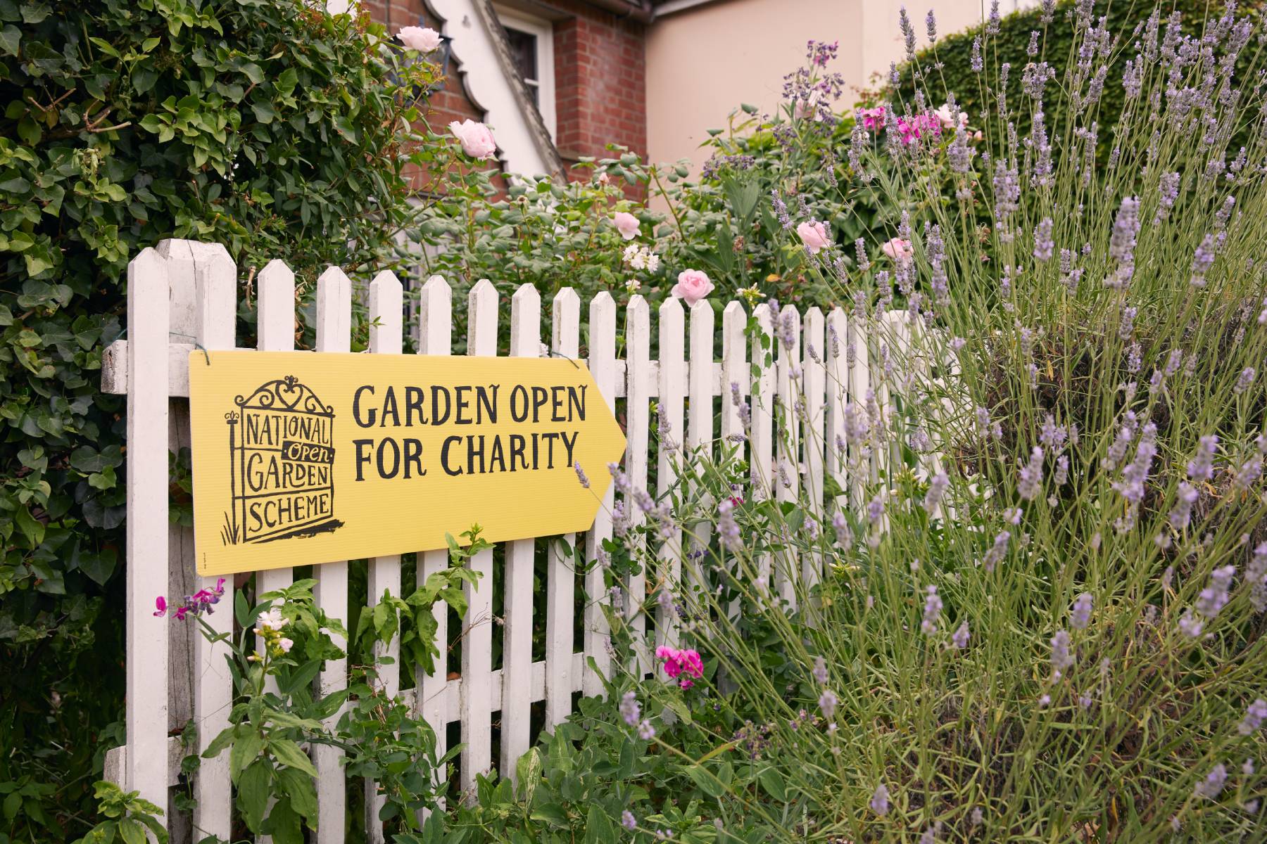 A "Garden open for charity" sign hangs on a white picket fence of a garden bed bursting with lavender flowers