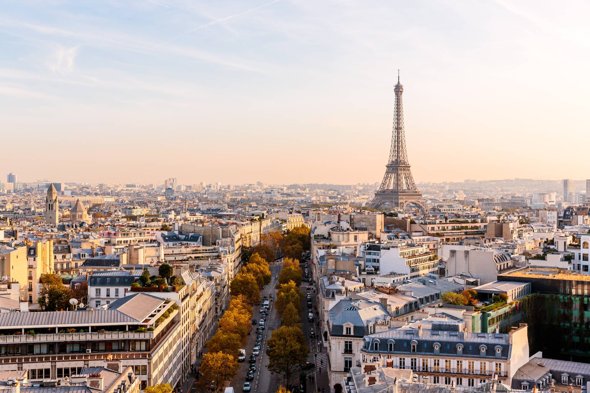 A view of the skyline of Paris, with the Eiffel Tower in the background