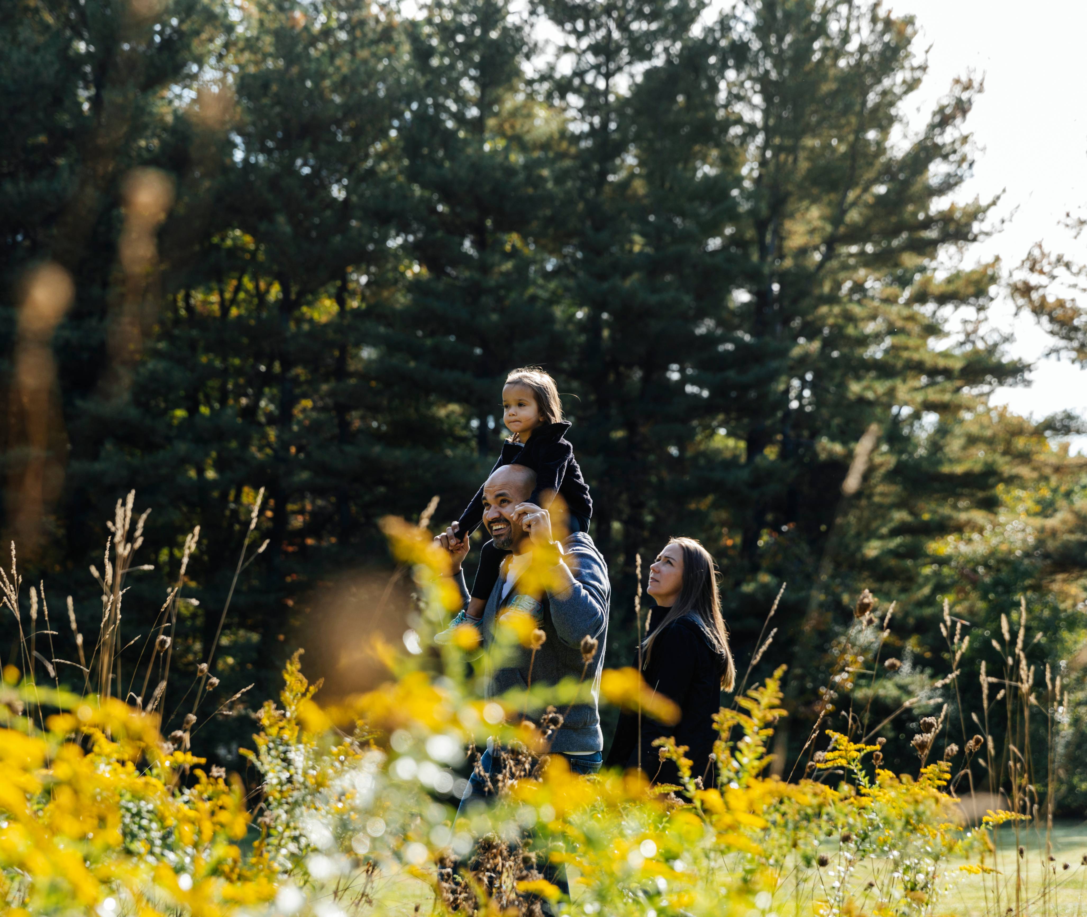 Family walking together in the woods