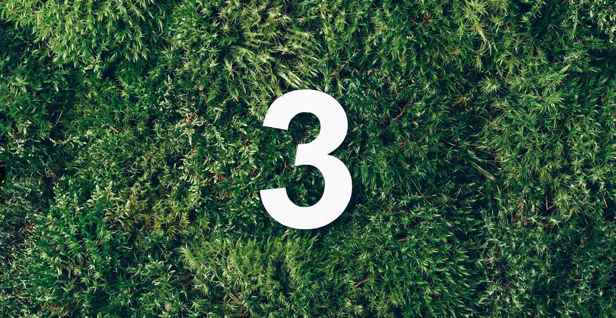3-on-grass-1200x620.jpg