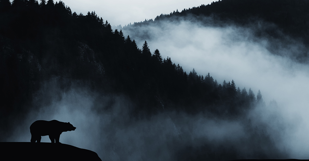 bear-silhouette-1200x628.jpg