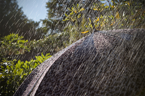 umbrella-in-summer-rain-600x400.jpg