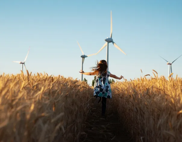 Renewable energy landscape with wind turbines, representing sustainable investment and long-term capital stewardship