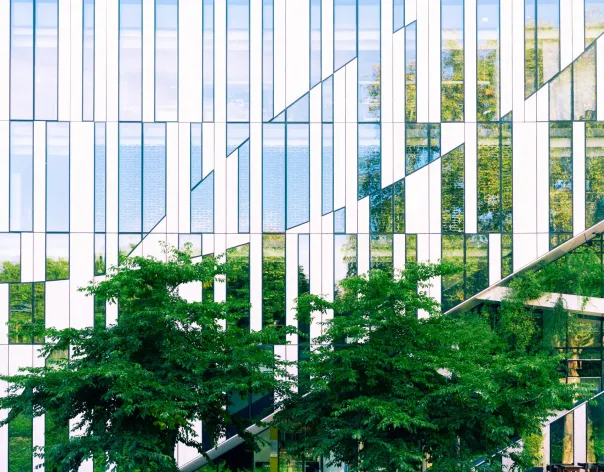 Modern glass office building façade with geometric reflections and green trees in the foreground.