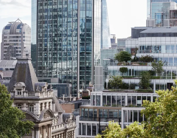 A view of London office buildings between trees