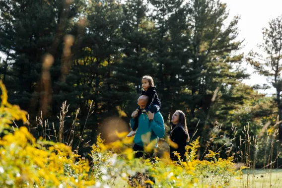 Personal bookcase and armchair