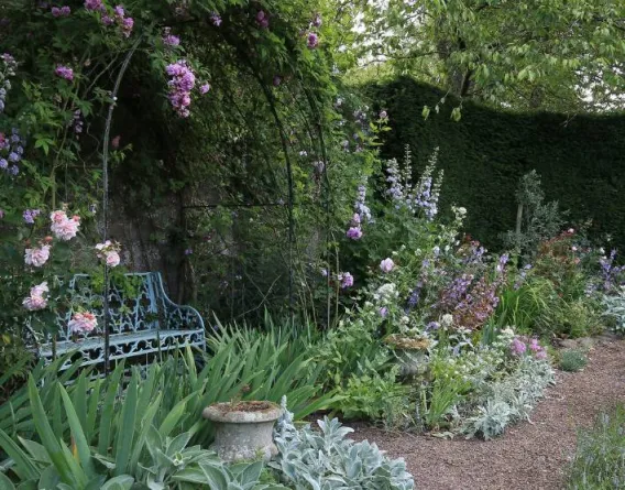 A garden chair under a rose-lined archway in a Scottish garden bursting with flora