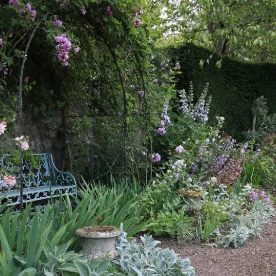 A garden chair under a rose-lined archway in a Scottish garden bursting with flora
