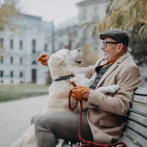 Older man sitting on a park bench in London laughing as his golden retriever jumps up at him