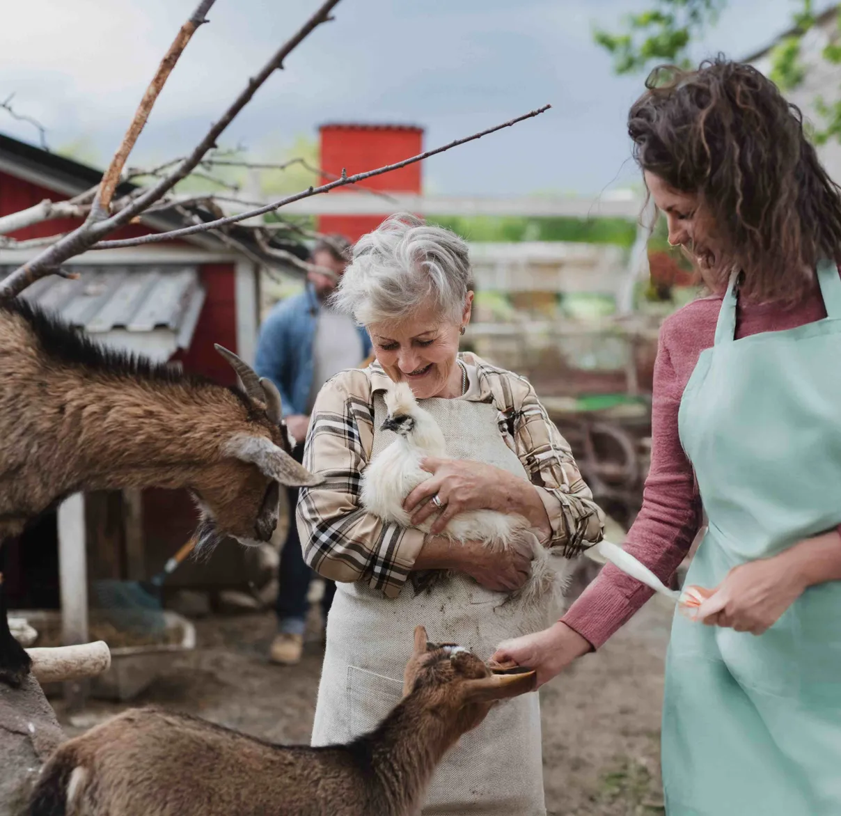 Two volunteers herd chickens and goats at a farm