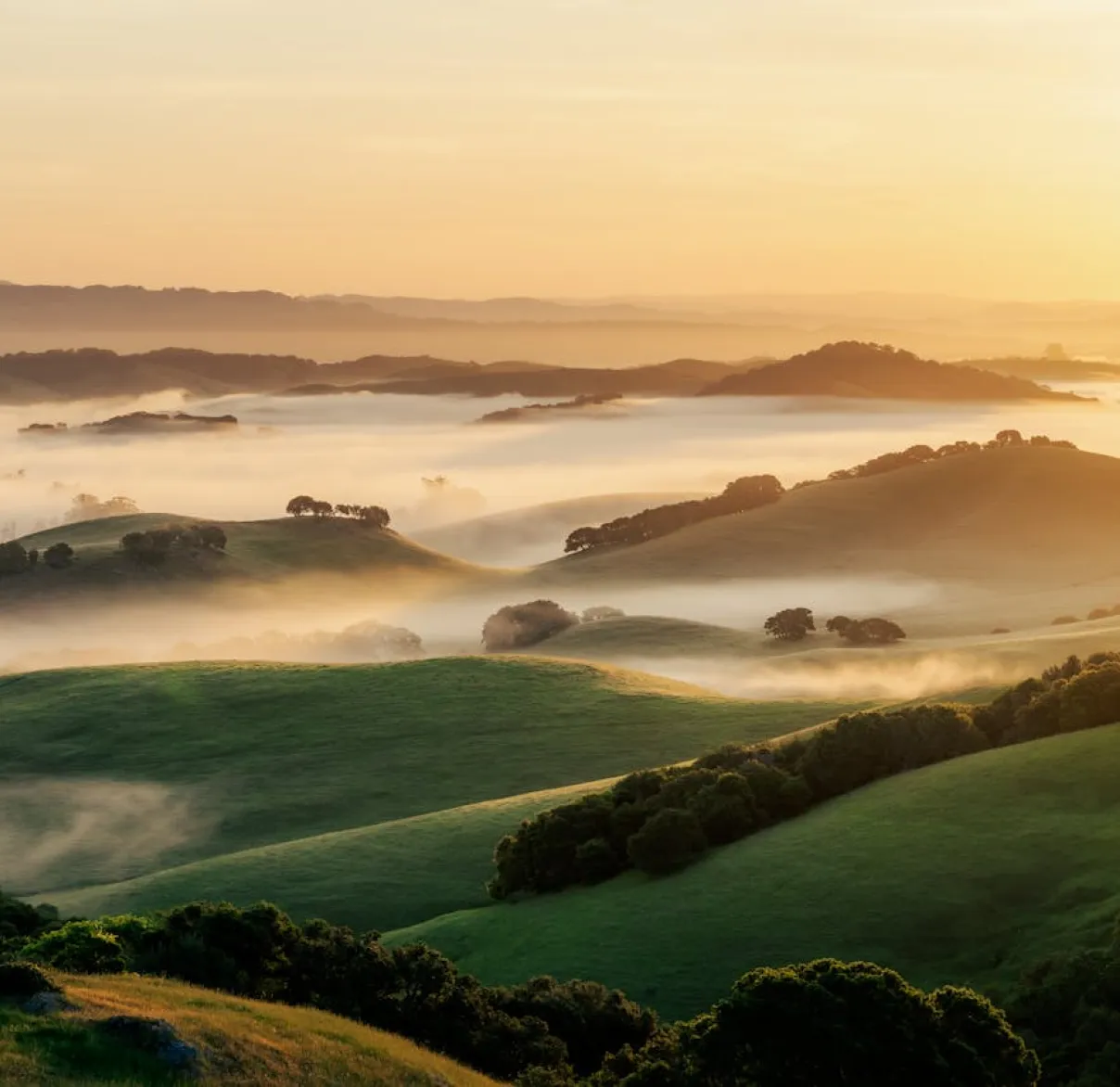 Looking across hills shrouded in mist in the countryside