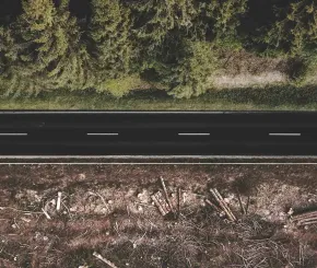 Green trees and brown soil