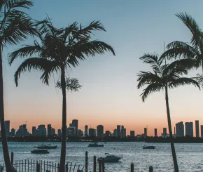 Silhouettes of palm trees and anchored boats in the foreground with a city skyline across the water at sunset.