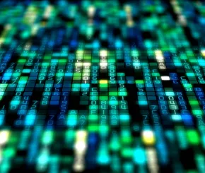 Lines of code in numbers and letters in a grid