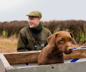 A farmer with his dog in a field