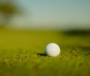 Golf ball on a golf course