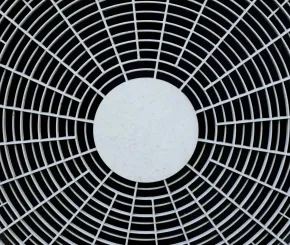 Fan up close