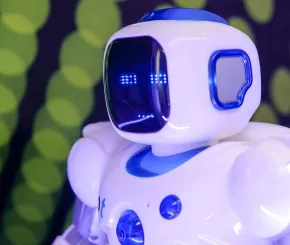 Humanoid robot