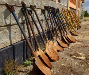 Shovels lined up in a row