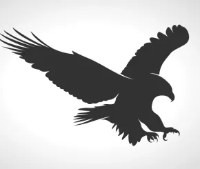 American eagle silhouette