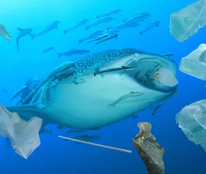 plastic-ocean-pollution-web.jpg