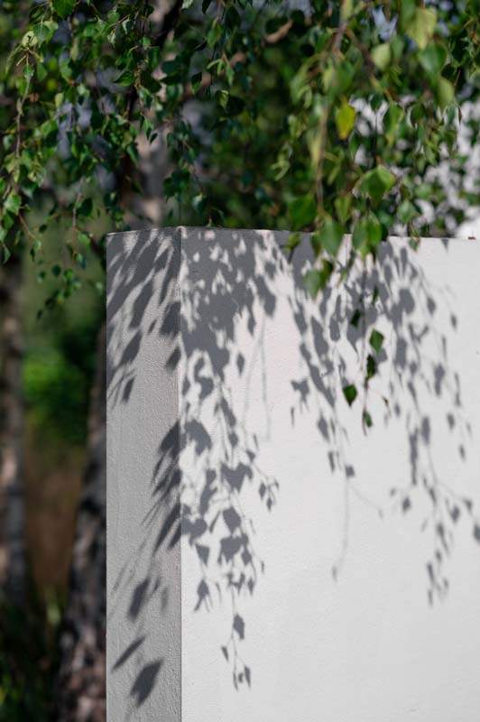 Green tree against white wall