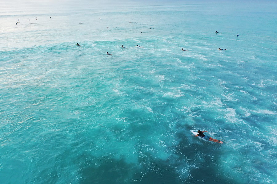 Group of people surfing