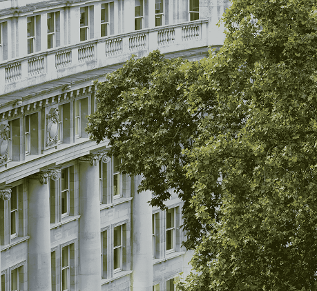 Grand white building behind trees