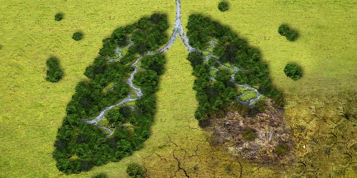 green-lungs_1200x600.jpg